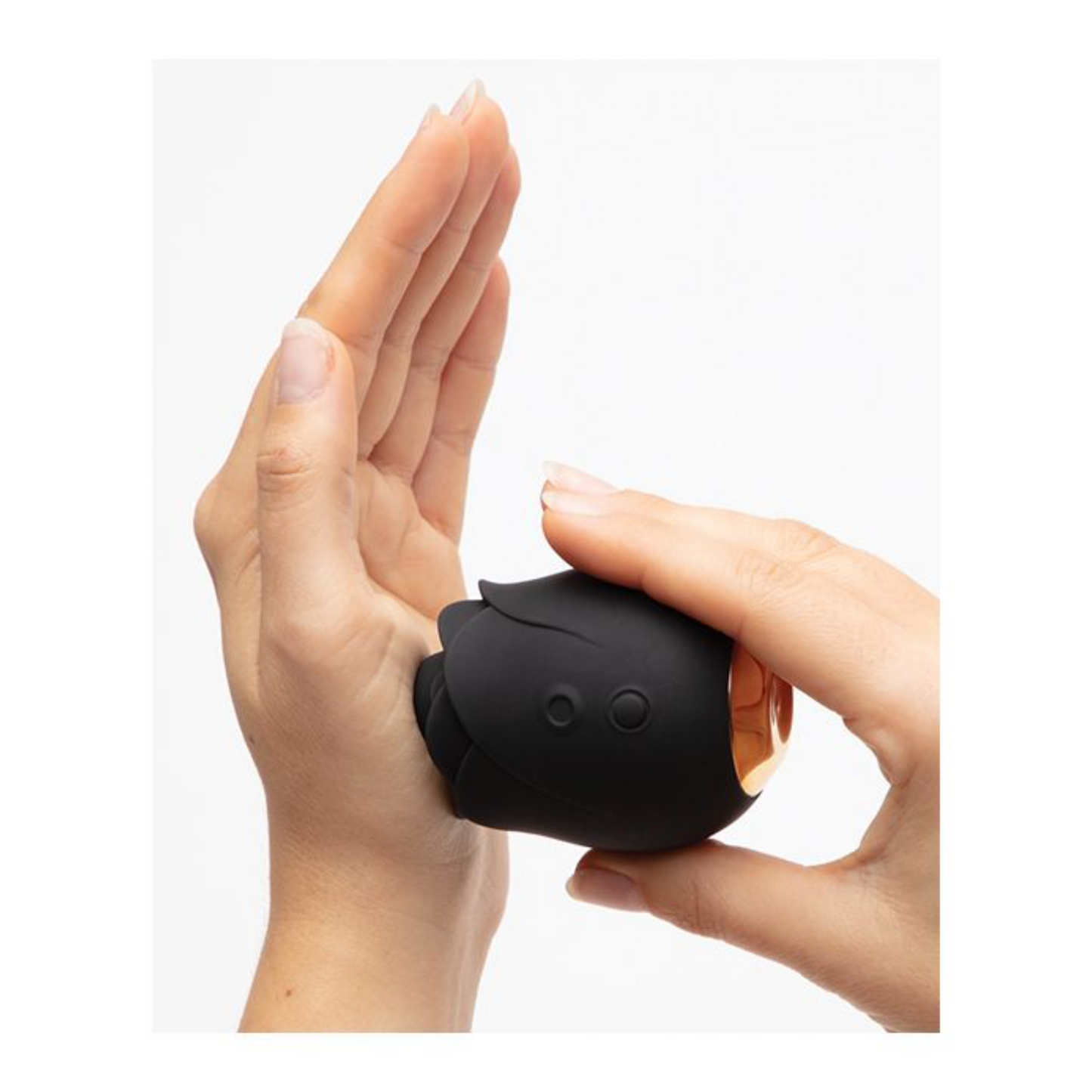 Fifty Shades of Grey Rose