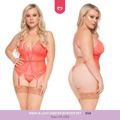 Mesh & Lace Garter Bustier Set